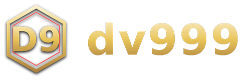 dv999 logo